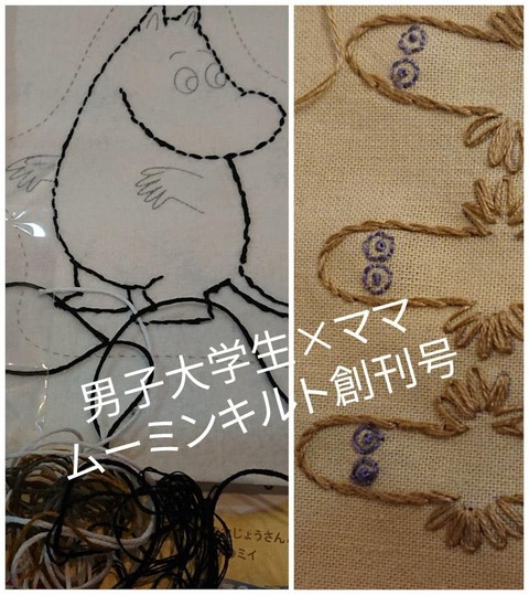 自伝 小石 メロン たのしい ムーミン キルト Ryogujo Jp