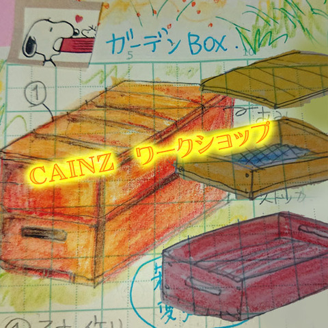 cainz01a007