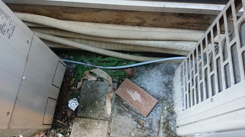 1f0923f9.jpg