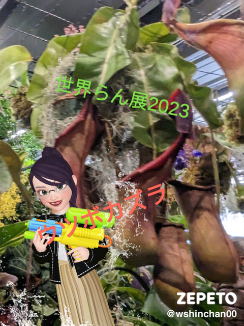 3632e31a.png
