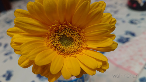 20190525e002