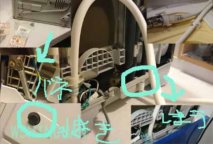 Totoeud500syuuri_40