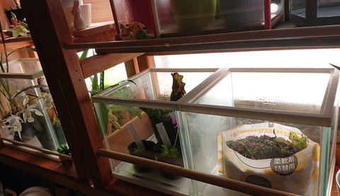 ガーデニング春a006