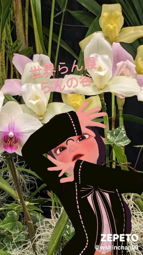 516f6424.png