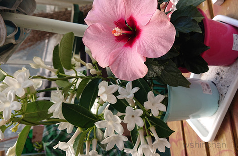 20190524b003