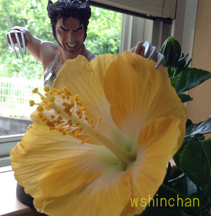 201600527e01