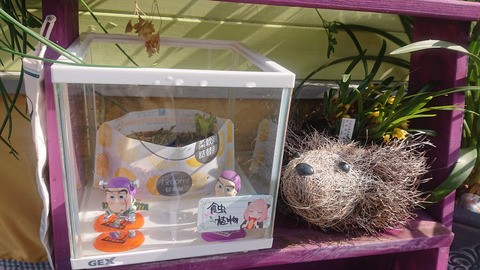 ガーデニング春a004