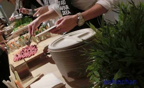 20160823-ikea012