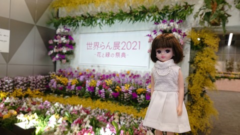 dd17a58f.jpg