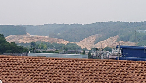 f0d675a4.jpg