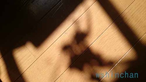 20160730-0208