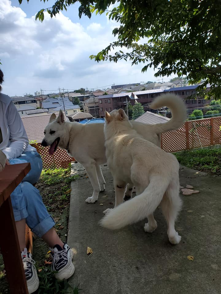 9月だけど 暑い夏 まだ続くのかな 二人の夢 海ー