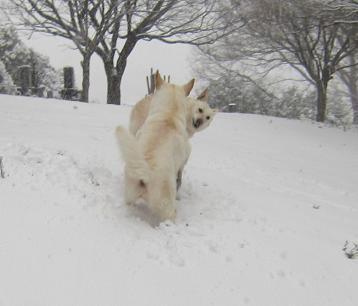 12年02月 二人の夢 海ー