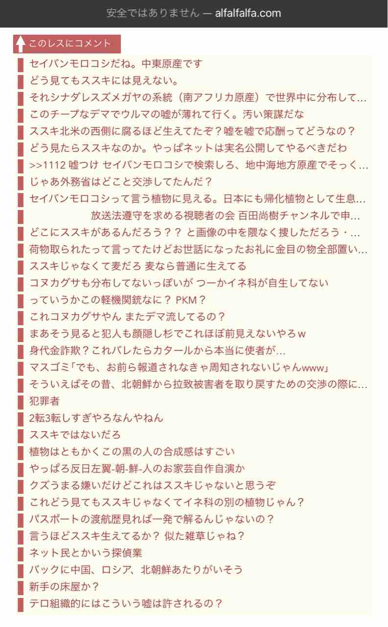 安田純平さんとススキの件 ありとあらゆる全般的ぐちゃぐちゃ 安田純平さんとススキの件 ありとあらゆる全般的ぐちゃぐちゃ