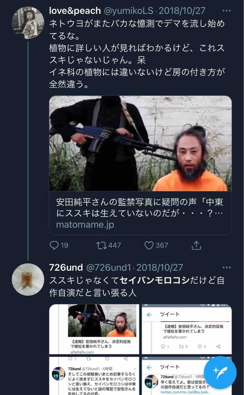 安田純平さんとススキの件 ありとあらゆる全般的ぐちゃぐちゃ 安田純平さんとススキの件 ありとあらゆる全般的ぐちゃぐちゃ