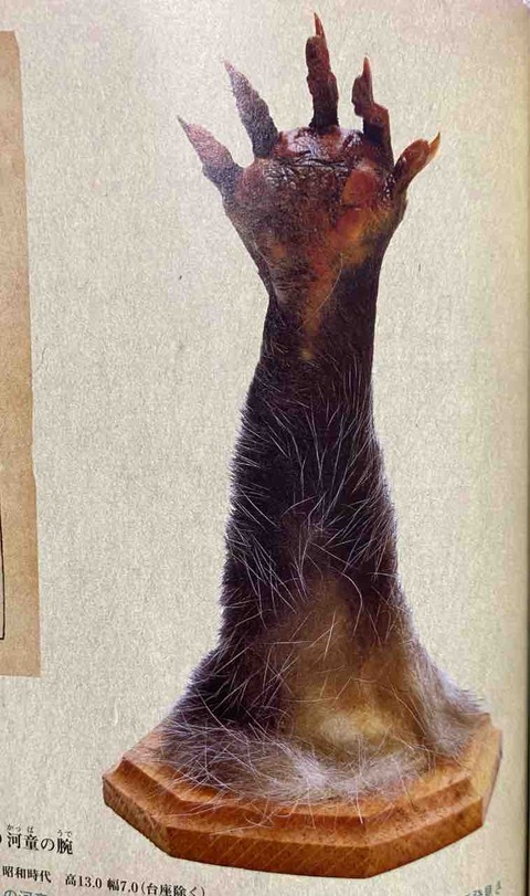 FullSizeRender