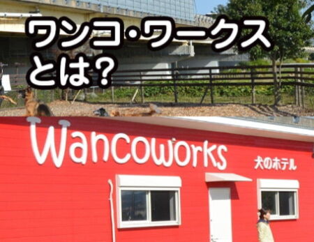 wancoworks