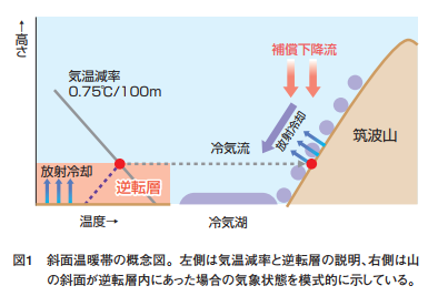 きしょう”な福来みかん : チーム森田の“天気で斬る！”