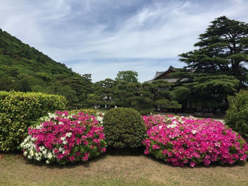 イメージ 1