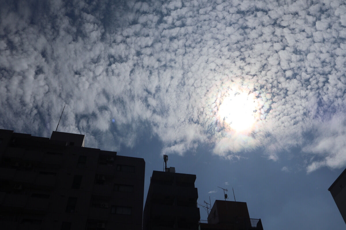 ひつじ雲とうろこ雲の見分け方 チーム森田の 天気で斬る ひつじ雲とうろこ雲の見分け方 チーム森田の 天気で斬る