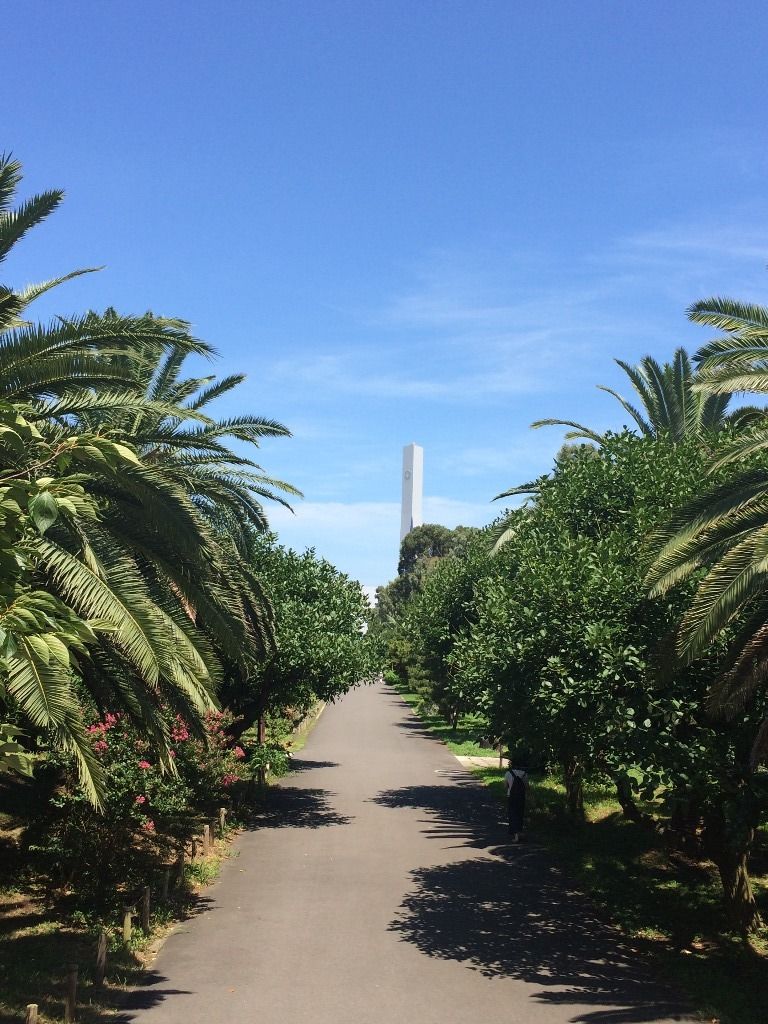 東京で熱帯スコールを体験 チーム森田の 天気で斬る