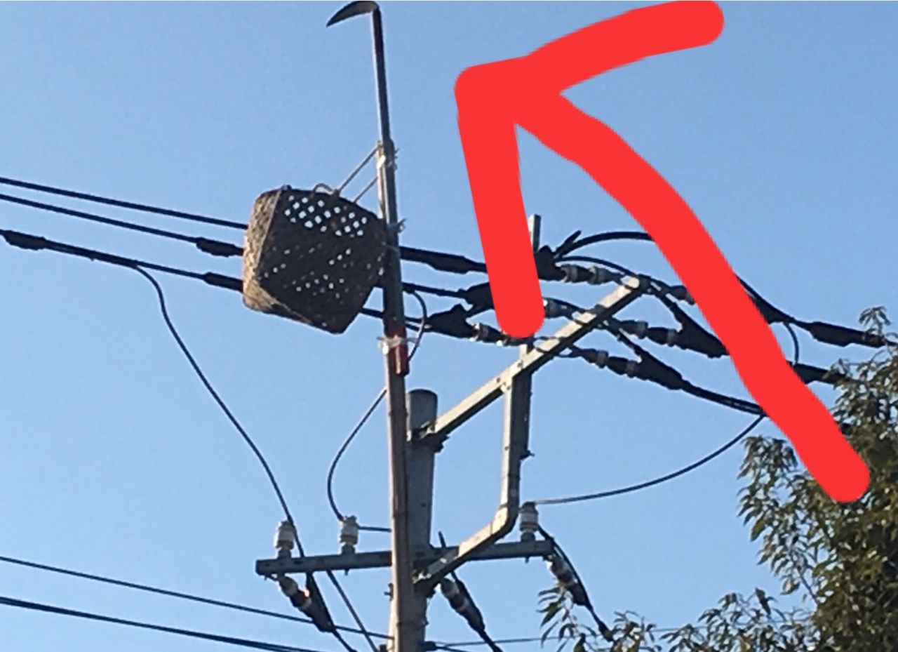 風対策は風切り鎌とかしぐねで チーム森田の 天気で斬る