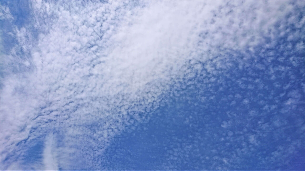 夏と秋の雲の変化 チーム森田の 天気で斬る 夏と秋の雲の変化 チーム森田の 天気で斬る