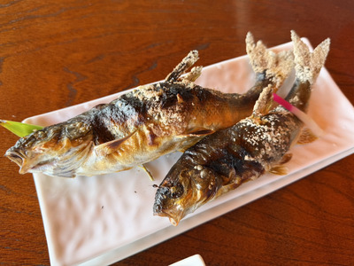 うぐい