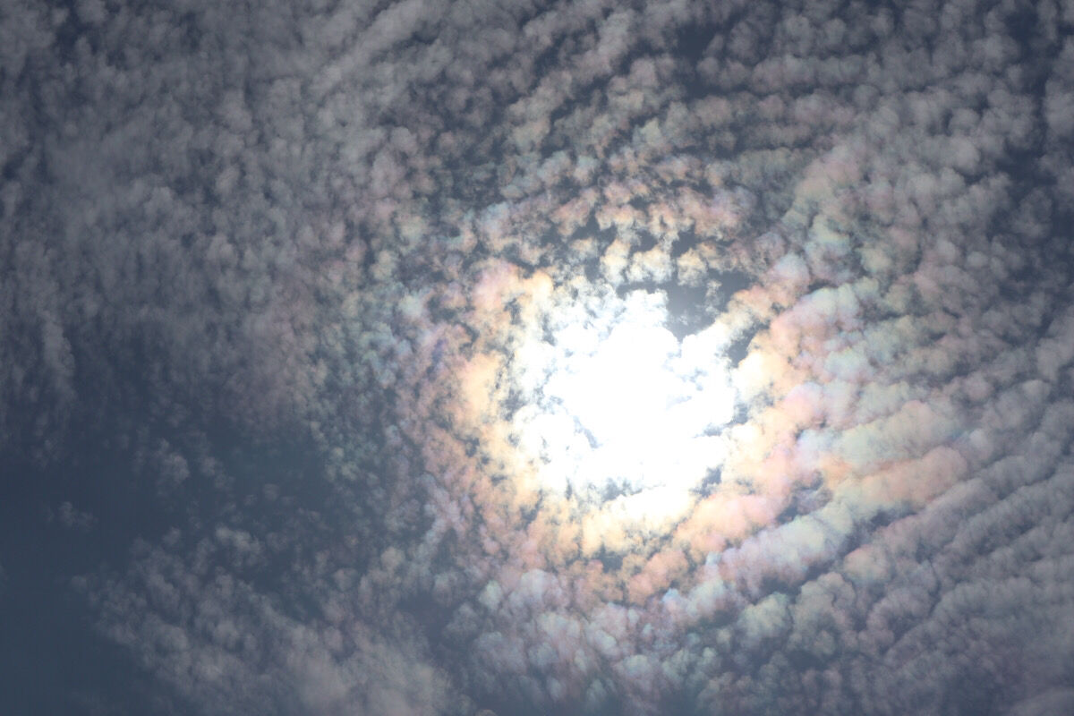 ひつじ雲とうろこ雲の見分け方 チーム森田の 天気で斬る ひつじ雲とうろこ雲の見分け方 チーム森田の 天気で斬る