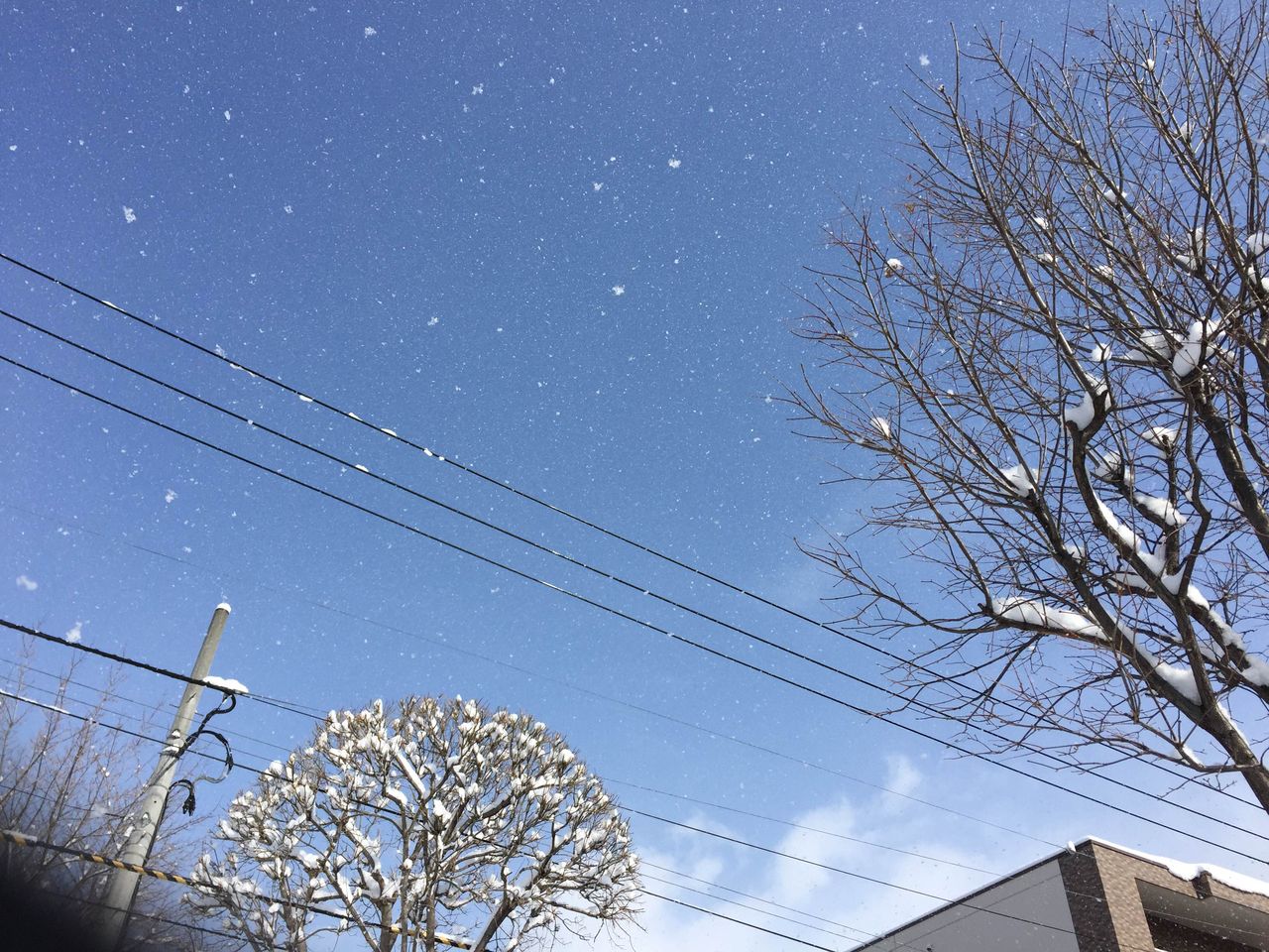 空から雪が降る