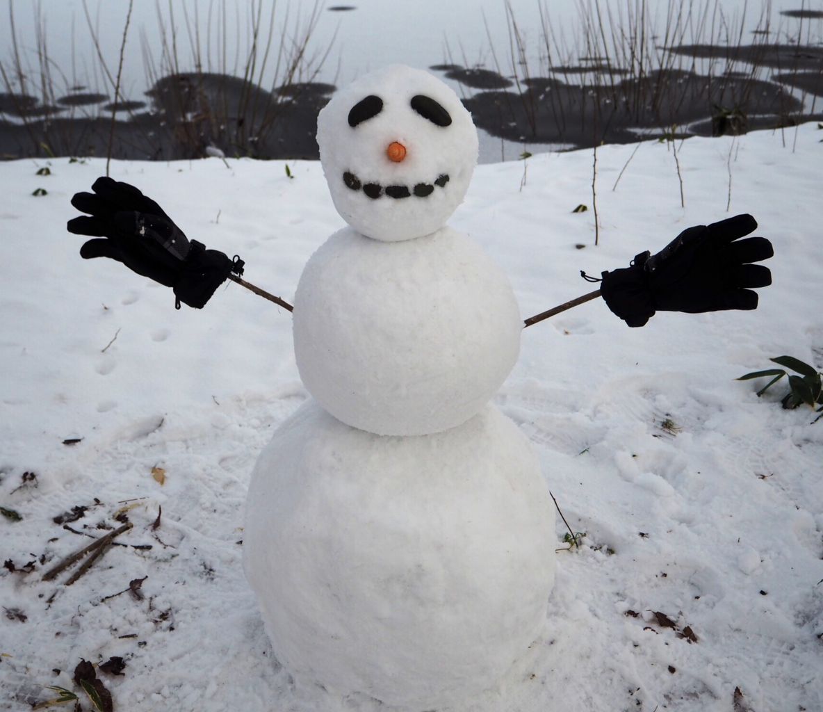 完璧な雪だるまの作り方 チーム森田の 天気で斬る 完璧な雪だるまの作り方 チーム森田の 天気で斬る