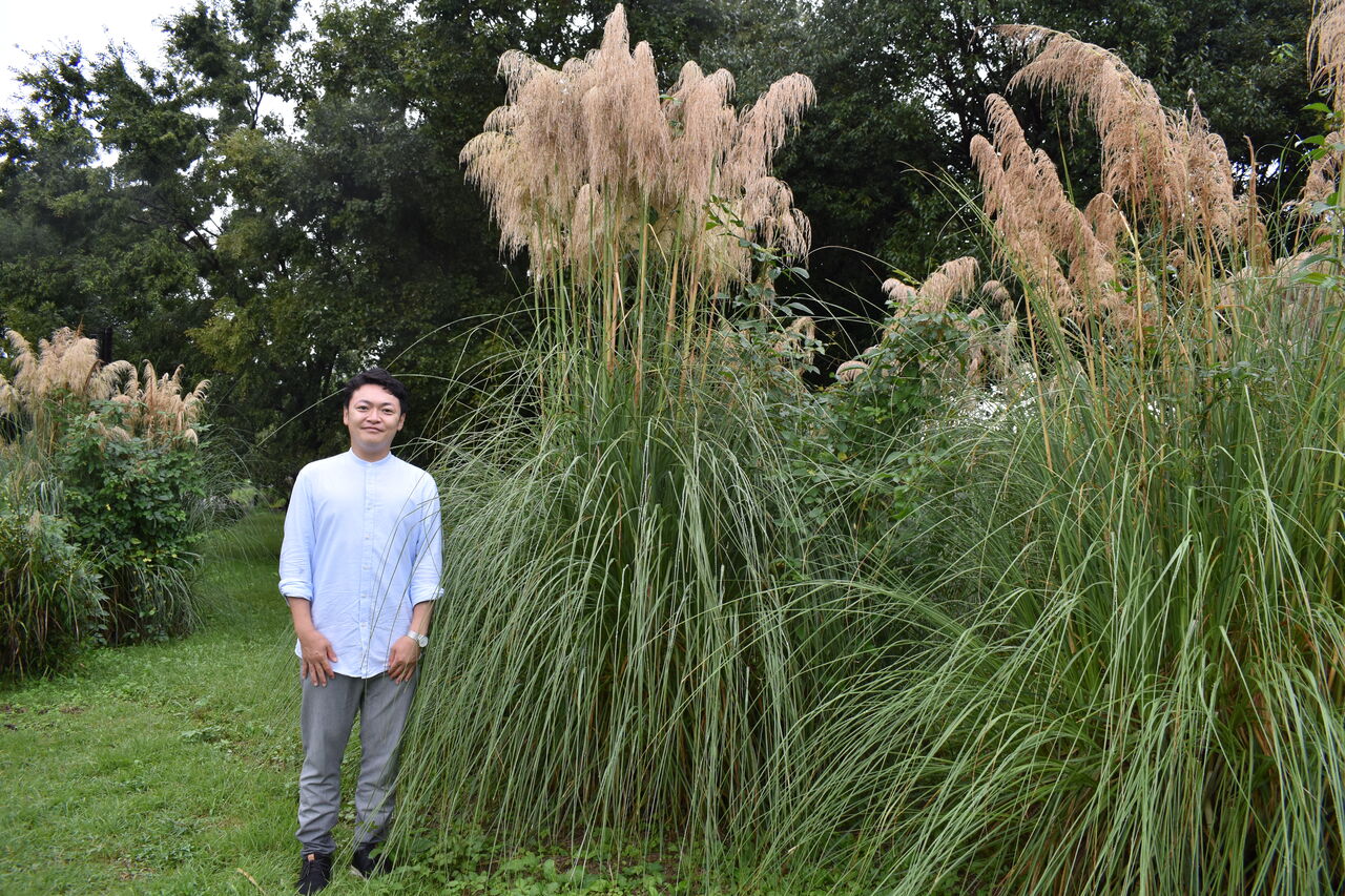 お化けなススキ チーム森田の 天気で斬る