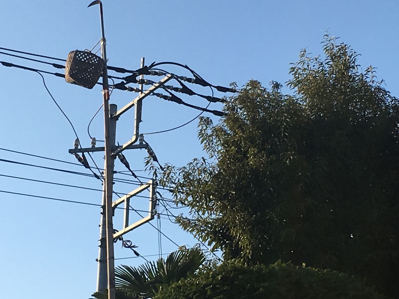 風対策は風切り鎌とかしぐねで チーム森田の 天気で斬る