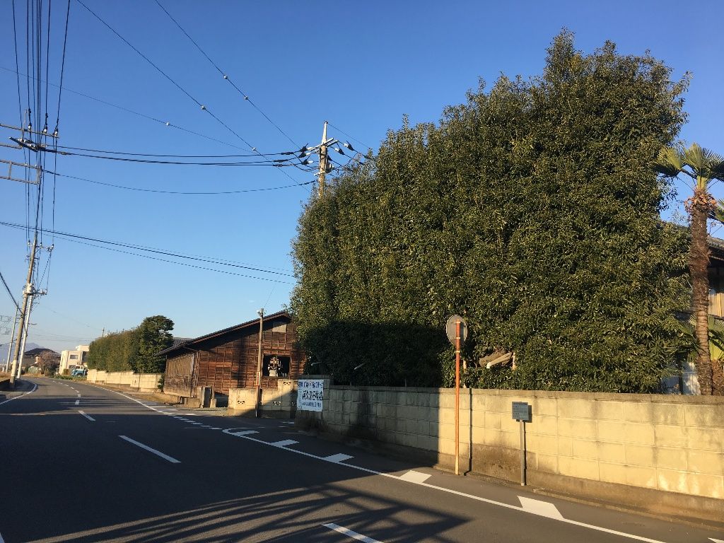 風対策は風切り鎌とかしぐねで チーム森田の 天気で斬る