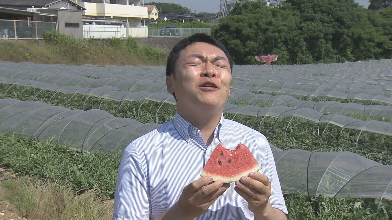 スイカが美味しく感じる温度とは チーム森田の 天気で斬る