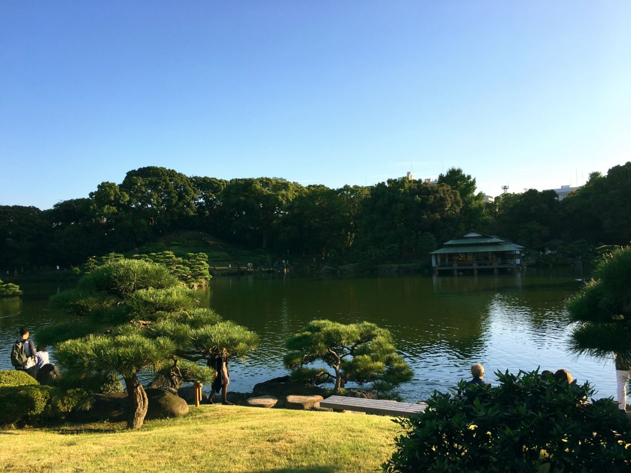 雨で表情を変える清澄庭園 チーム森田の 天気で斬る 雨で表情を変える清澄庭園 チーム森田の 天気で斬る