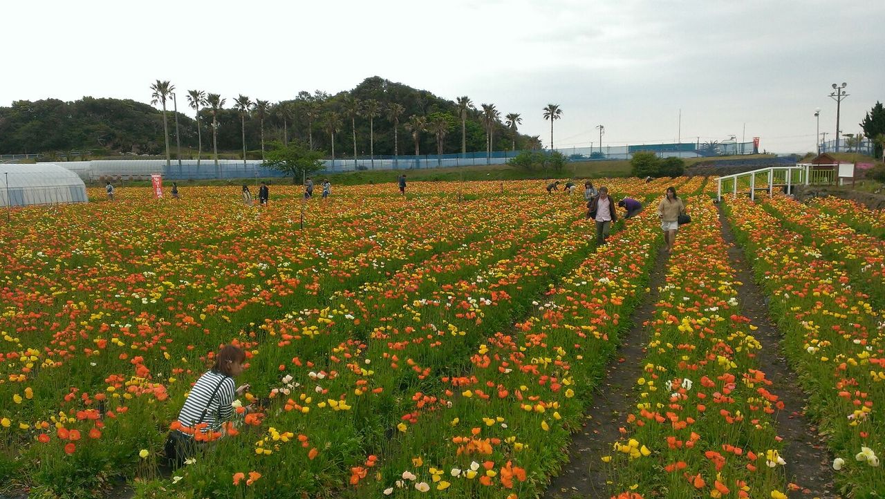 地方振興 南房総地域 千葉県 国土交通省
