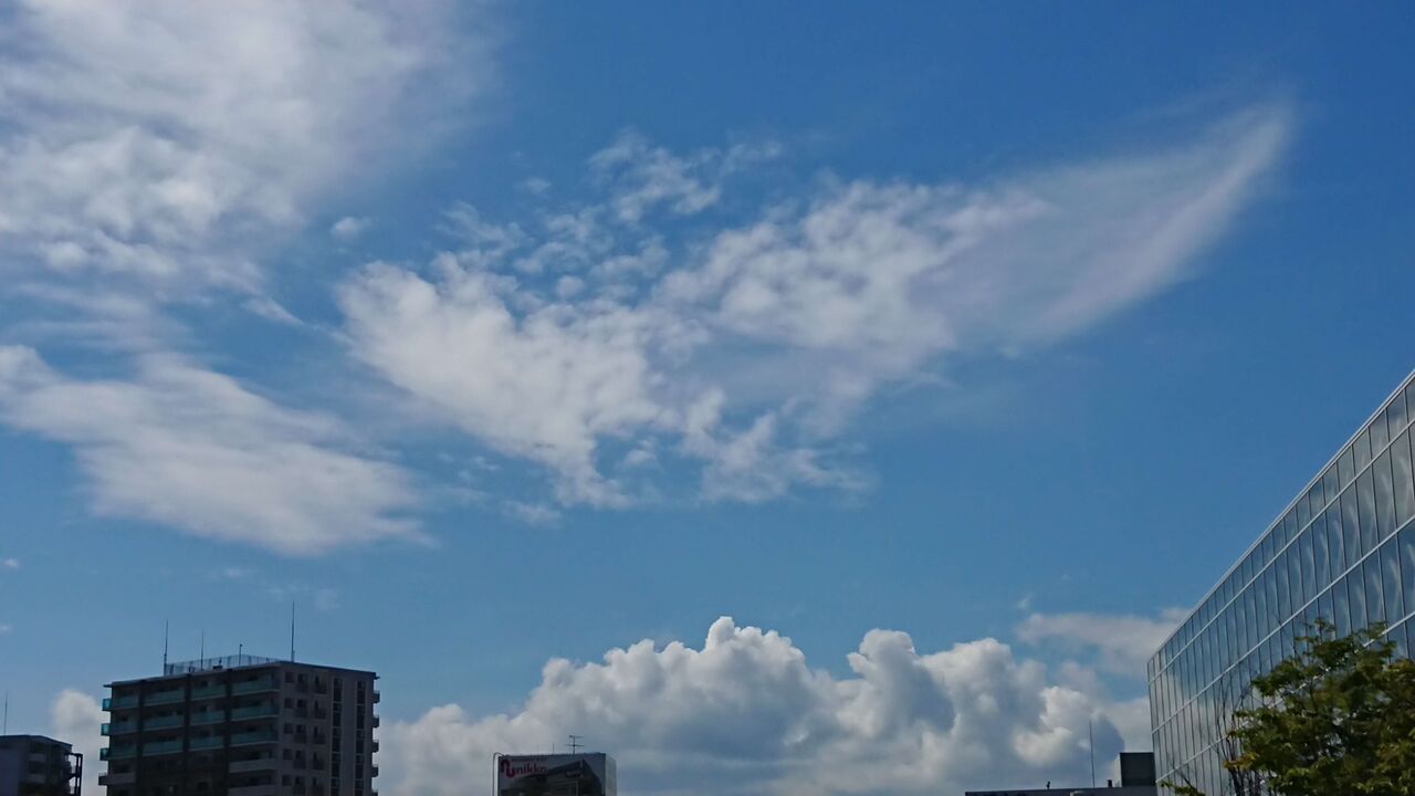 夏と秋の雲の変化 チーム森田の 天気で斬る 夏と秋の雲の変化 チーム森田の 天気で斬る