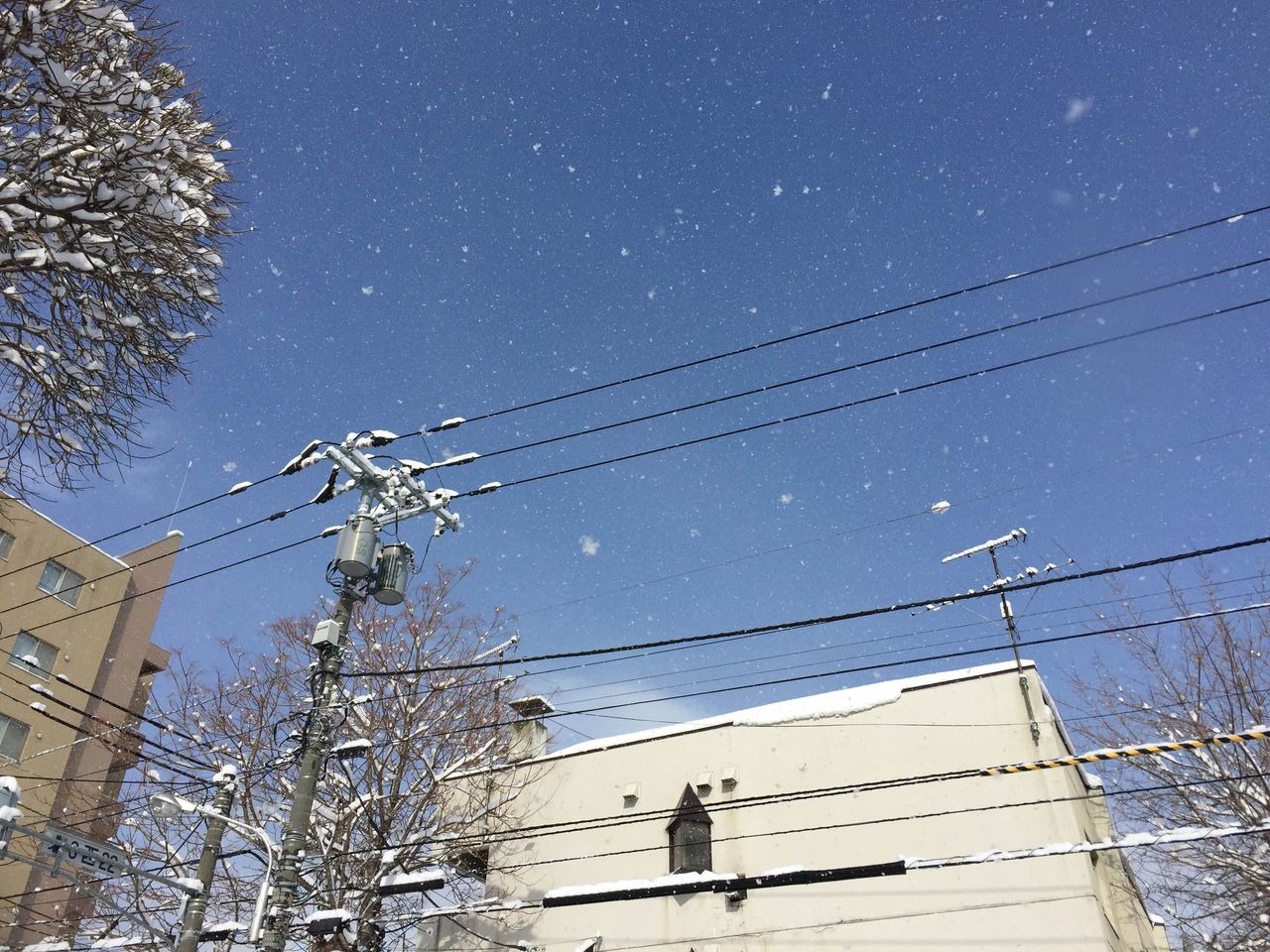 青空から降る雪 チーム森田の 天気で斬る 青空から降る雪 チーム森田の 天気で斬る