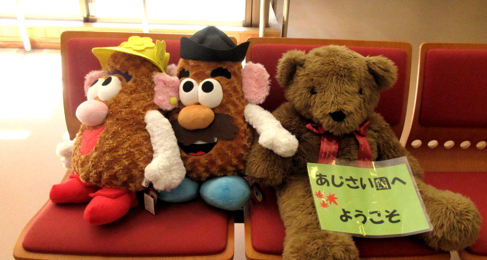 17 05 19 特養老人ホーム 横須賀あじさい園 で紙芝居ボランティア 6回目 紙芝居ボランティアとしょくんの 窮窮自適 日記 紙芝居編 17 05 19 特養老人ホーム 横須賀あじさい園 で紙芝居ボランティア 6回目 紙芝居ボランティアとしょくんの 窮窮自適 日記 紙芝居編