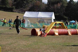 IMG_0364