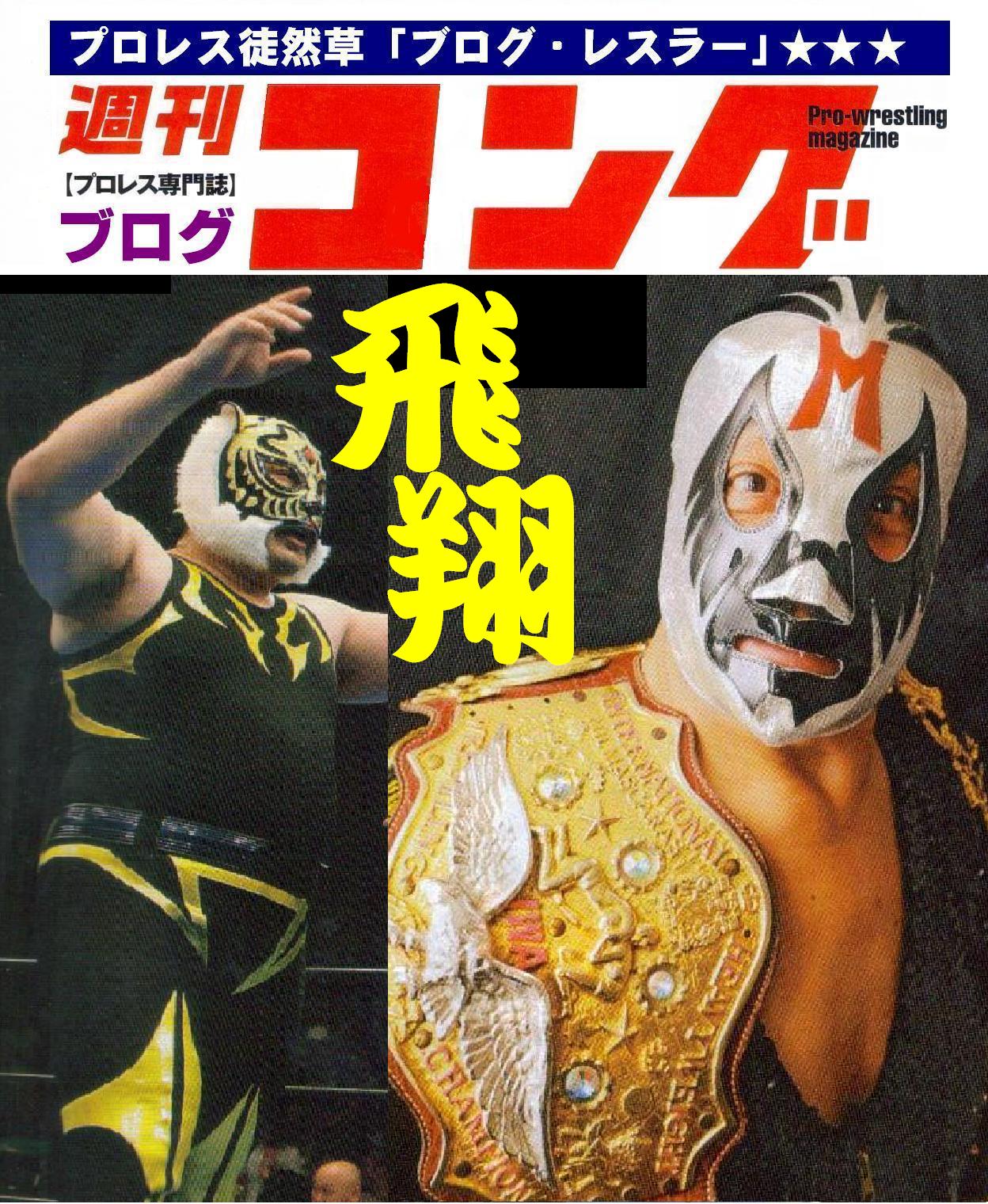 ５７ スカイハイ祭り 脳内プロレス徒然草 ブログ レスラー の素顔でラリ ネタバレ公認バーリトゥード ３ｄ