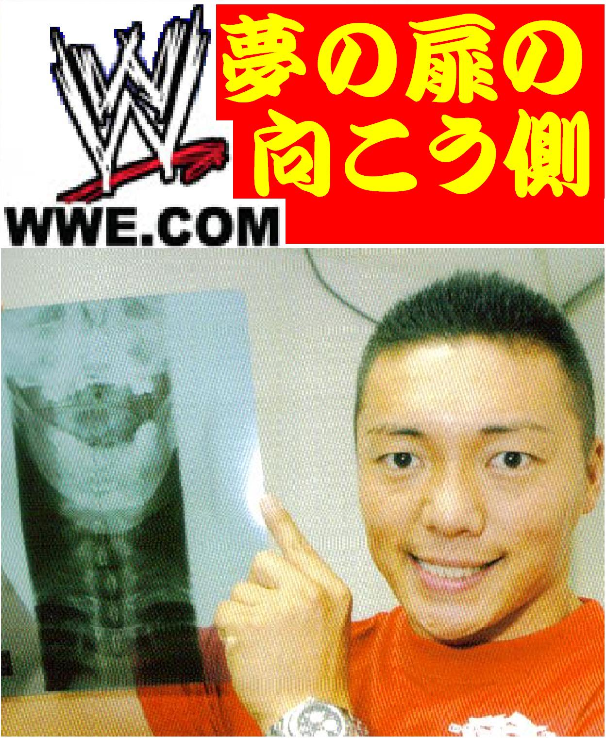 夢の扉の向こう側 ちょっと寄り道ｃｉｍａせんか 脳内プロレス徒然草 ブログ レスラー の素顔でラリ ネタバレ公認バーリトゥード ３ｄ