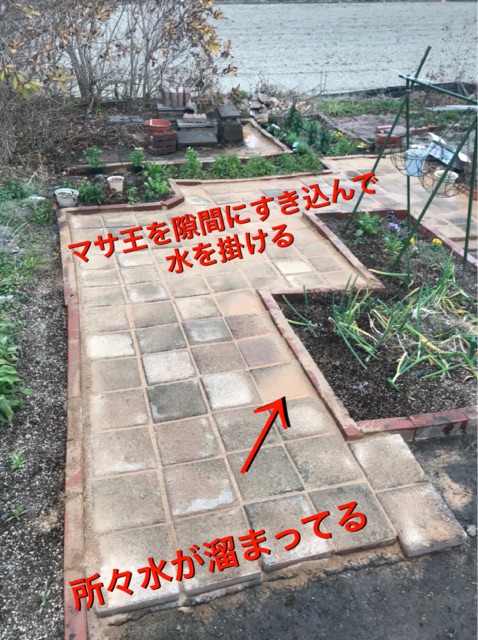 大改装 冬は庭の作り変え5 ぶきっちょみかんの花育て野菜育てワンコ育て