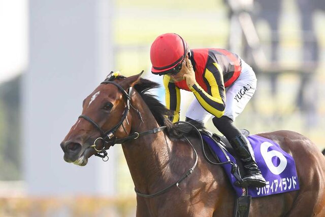 【なんでやねん】3冠牝馬・リバティアイランド、予後不良で安楽死