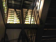 IMG_8461