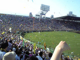 5050301.jpg