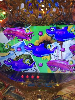 IMG_3341