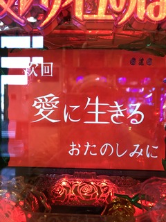 IMG_8569