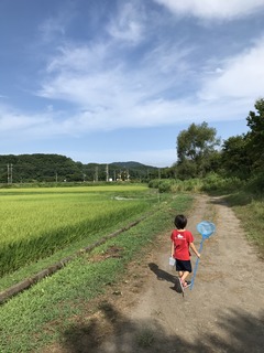 IMG_1478